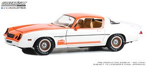1979 Chevrolet Camaro Cascade Edition Oregon and Washington Dealership Graphics Package (ミニカー)