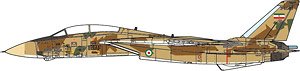 F-14A `Alicat` Islamic Republic of Iran Air Force 2014 (Pre-built Aircraft)