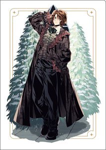 ハリーポッター クリアファイル Ron Weasley (キャラクターグッズ)