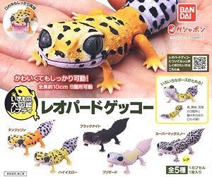 Leopard gecko (Toy)