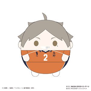 ハイキュー!! ふわコロりんMsize6 B 菅原孝支 (キャラクターグッズ)