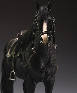 Dutch Warmblood E (Fashion Doll)