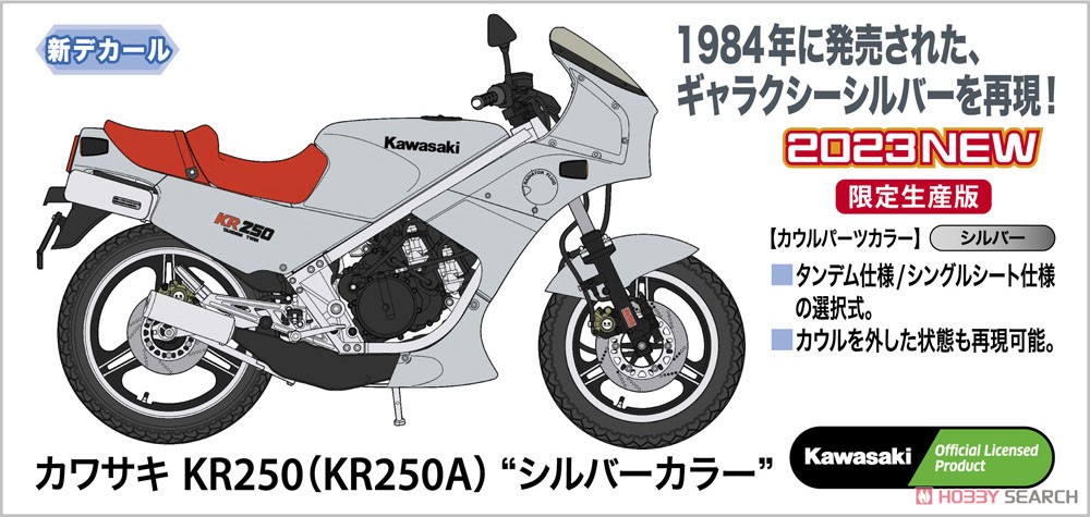 Kawasaki KR250 (KR250A) `Silver` (Model Car) Other picture1