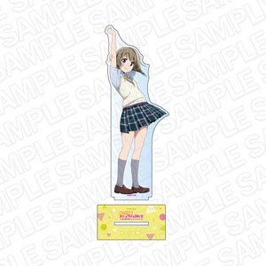 ラブライブ！虹ヶ咲学園スクールアイドル同好会 デカアクリルスタンド 中須かすみ 夏制服 ver (キャラクターグッズ)