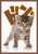 ブロッコリーキャラクタースリーブ 「子猫」 リバイバル (カードスリーブ) 商品画像1
