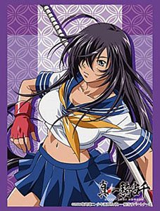 Bushiroad Sleeve Collection HG Vol.3435 Ikki Tousen Kanu (Card Sleeve) -  HobbySearch Trading Card Store