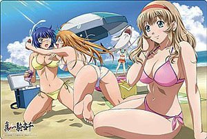 Bushiroad Rubber Mat Collection V2 Vol.560 Ikki Tousen Sonsaku & Ryomou & Sonken (Card Supplies)