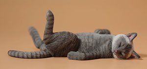 JXKスタジオ 1/6 惰眠を貪る猫 5.0 B (ドール)