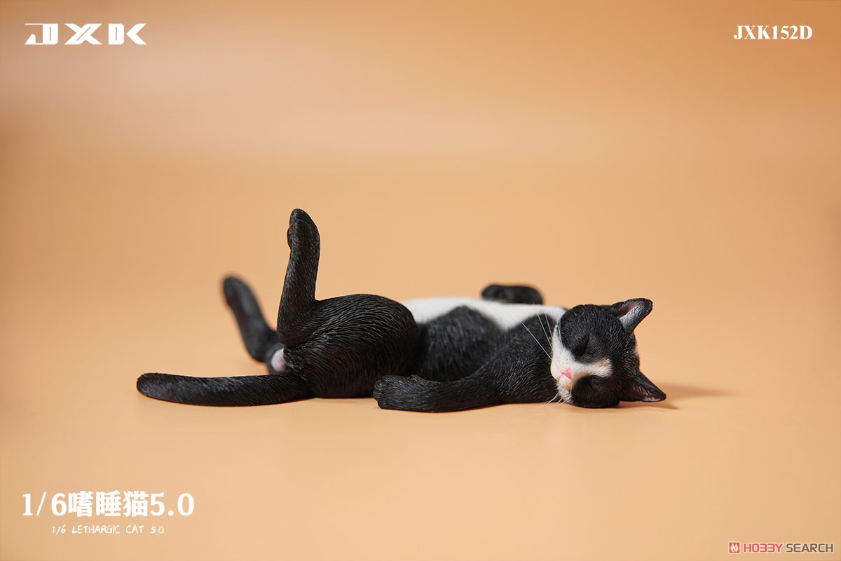 JXKスタジオ 1/6 惰眠を貪る猫 5.0 D (ドール) 商品画像1