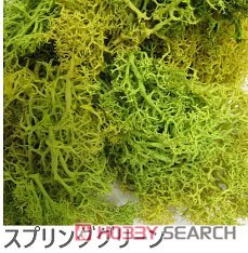 ジオラマモス スプリンググリーン (鉄道模型) 商品画像1