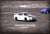 Nissan Skyline GT-R (R34) V-Spec II N1 White / Carbon Food (Diecast Car) Other picture1