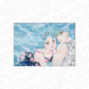 ふしぎ遊戯 ミニアクリルアート D (キャラクターグッズ)