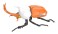 Ultraman Series Edition Beetle Type SSSP(Scientific Special Search Part) (Plastic model) 商品画像1 Thumbnail