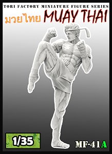 Muay Thai (Plastic model)