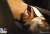 【銀行振込前入金】 ゴッドファーザー 1972年版 ヴィトー・アンドリーニ・コルレオーネ 1/3スケール全身スタチュー (完成品) 商品画像3