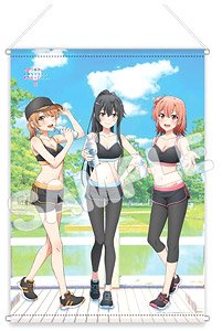 My Teen Romantic Comedy Snafu Climax B3 Tapestry Sports Wear Assembly Illust (Anime Toy)