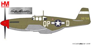 P-51B マスタング `スティーブ・ピサノス スペシャル` (完成品飛行機)