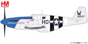 P-51C マスタング `プリンセス・エリザベス 2007` (完成品飛行機)
