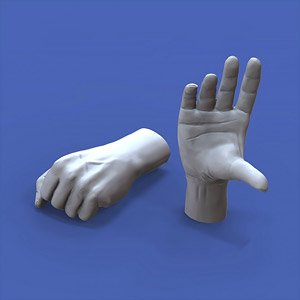 Assorted Hands (Plastic model)