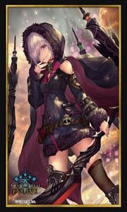 Shadowverse Evolve Official Sleeve Vol.68 Shadowverse Evolve [Wizardess of Oz] (Card Sleeve)