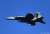 アメリカ海軍 電子戦機 EA-18G グラウラー 三沢基地 VAQ-131 ランサーズ 2022 (プラモデル) その他の画像1