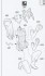 12 Egg Girls Collection No.37 `Haku Rinpha` (Black Cat) (Plastic model) 解説1 Thumbnail