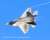 USAF F-22A Raptor `Demonstration Team` (Set of 2) (Plastic model) Other picture1