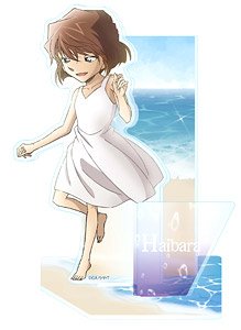 名探偵コナン モダングラデーション アクリルスタンド (L) 灰原哀 (キャラクターグッズ)