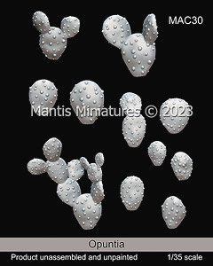 Opuntia (Plastic model)