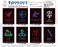 Character Sleeve Heaven Burns Red 31E (EN-1186) (Card Sleeve) その他の画像1 Thumbnail