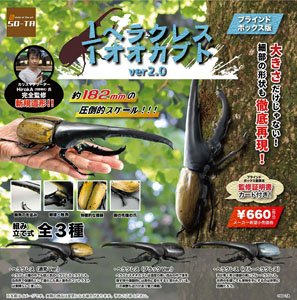 1/1 Hercules Beetle Ver.2.0 (Set of 4) (Completed)
