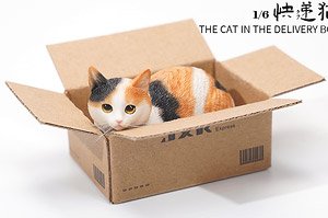 JXK スモール 猫 イン・ザ・ダンボール 2.0 B (ドール)