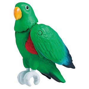 Adventure Continent Ania Kingdom Eddie (Moluccan Eclectus) (Animal Figure)