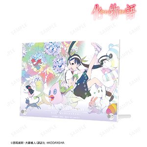 Comic [Bakemonogatari] Mayoi Hachikuji Special Edition Vol.2 Cover Illustration Double Acrylic Panel (Anime Toy)
