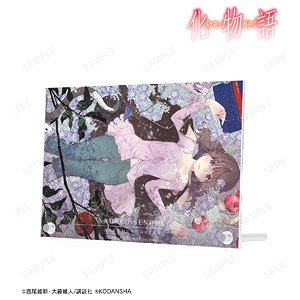 Comic [Bakemonogatari] Nadeko Sengoku Special Edition Vol.6 Cover Illustration Double Acrylic Panel (Anime Toy)