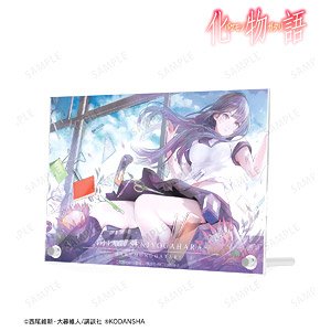 Comic [Bakemonogatari] Hitagi Senjogahara Special Edition Vol.10 Cover Illustration Double Acrylic Panel (Anime Toy)