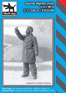 Soviet Fighter Pilot WWII No.1 (Plastic model)