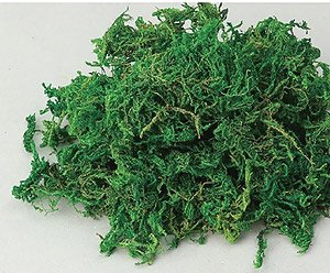 ヤマゴケ (10g) (鉄道模型)