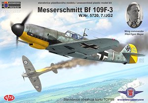 Bf 109F-3 `Egon Mayer` (Plastic model)
