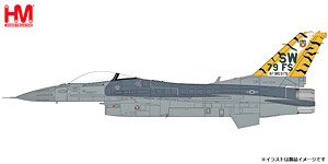 F-16C `タイガーミート・オブ・アメリカ 2005` (完成品飛行機)