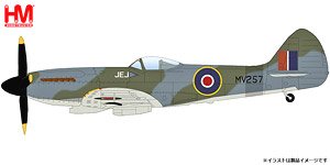 スピットファイア Mk.XIV `イギリス空軍 第125飛行隊 デンマーク 1945` (完成品飛行機)