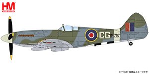 スピットファイア Mk.XIV `イギリス空軍 コリン・フォークランド・グレイ機` (完成品飛行機)