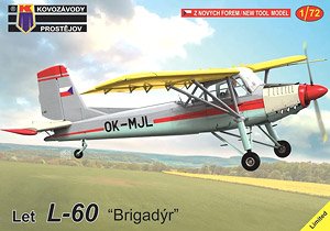 Let L-60 `Brigadyr` (Plastic model)