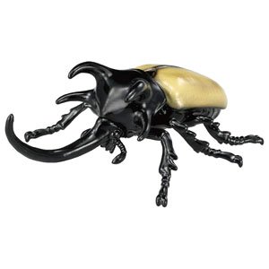 Ania AS-41 Eupatorus Gracilicornis (Animal Figure)