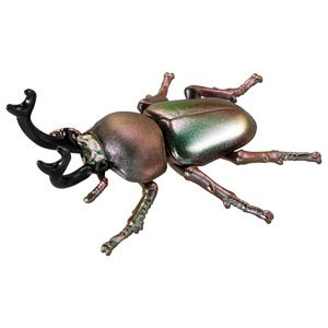 Ania AS-42 Phalacrognathus Muelleri (Animal Figure)