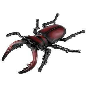 Ania AS-43 Prosopocoilus Inclinatus (Animal Figure)