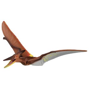 Adventure Continent Ania Kingdom Puteira (Pteranodon) (Animal Figure)