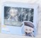 ねんどろいど アルティナ・オライオン (フィギュア) パッケージ1 サムネイル