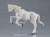 figma Wild Horse (White) (PVC Figure) Item picture4