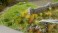 06805 花 詰め合わせセット2 (250個入り) (鉄道模型) その他の画像3 サムネイル
